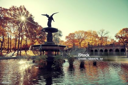 BLUE FOUNTAIN